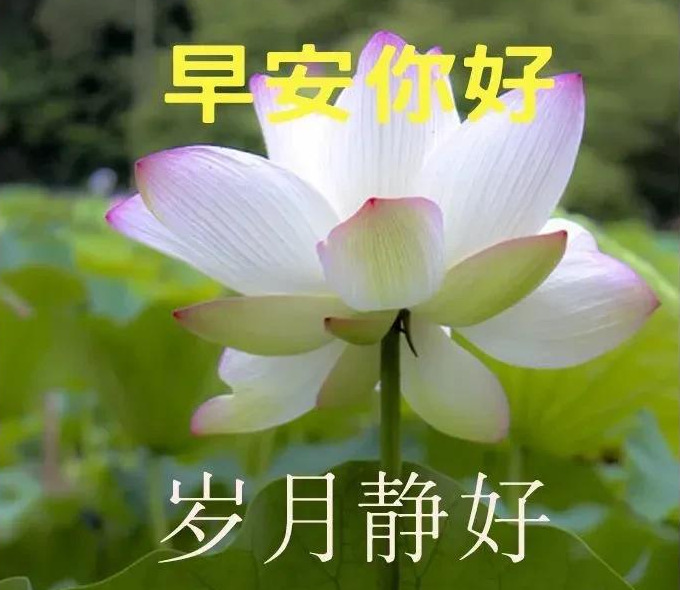 朋友问候语简短最美的句子【朋友问候语温馨短句】