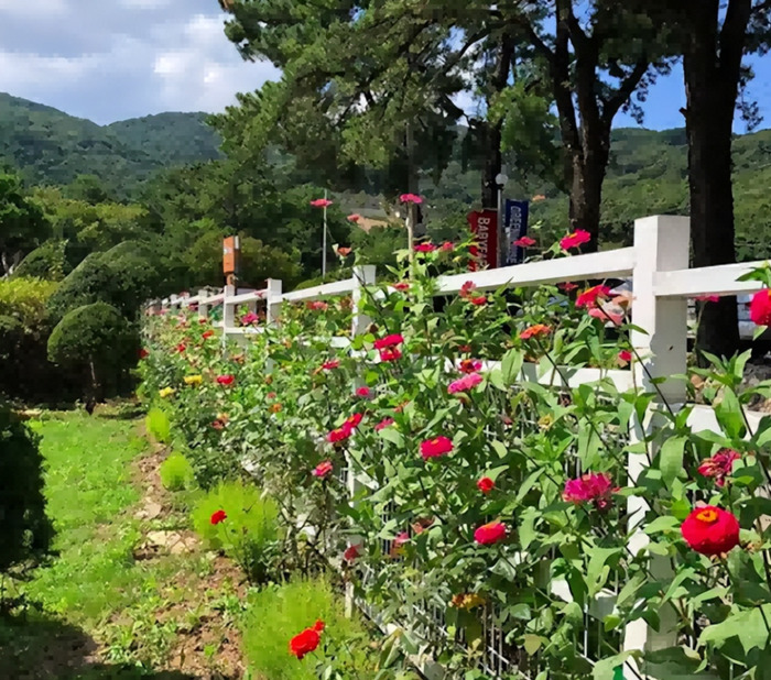 花坛造型【用砖头砌的花坛造型】