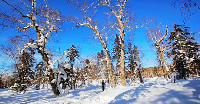 去雪乡玩一次得多少钱【雪乡旅游报价明细】