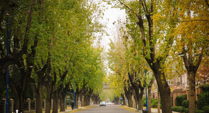 必去景点【大连旅游必去景点】