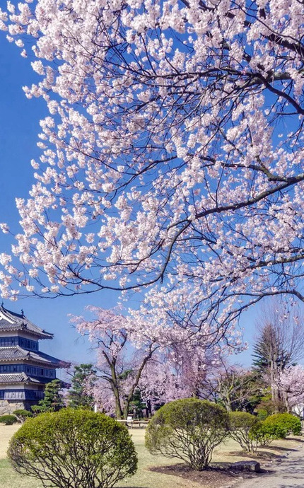 日系ins壁纸【日系ins背景图竖屏】