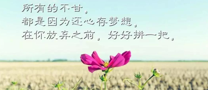 关于疫情的句子摘抄短句【关于疫情的句子摘抄200字】