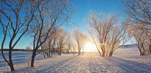 关于下雪的文案简短【关于下雪的文案唯美】