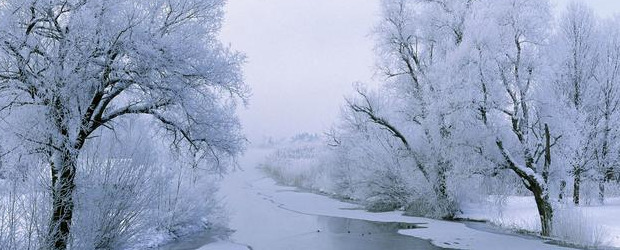 关于下雪的文案简短【关于下雪的文案唯美】