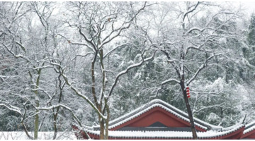 雪景发朋友圈的精美句子大全古诗【雪景发朋友圈的精美句子诗】