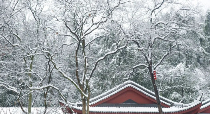 雪景发朋友圈的精美句子大全古诗【雪景发朋友圈的精美句子诗】