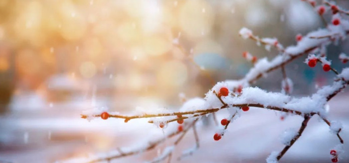 雪景发朋友圈的精美句子大全古诗【雪景发朋友圈的精美句子诗】