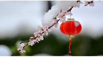 雪景发朋友圈的精美句子大全古诗【雪景发朋友圈的精美句子春雪】