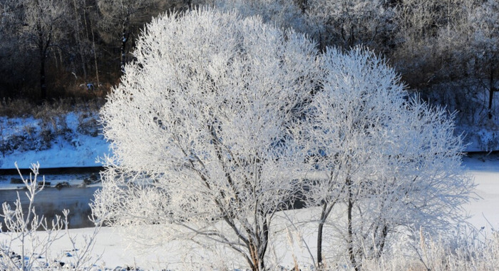 雪景发朋友圈的精美句子大全古诗【雪景发朋友圈的精美句子春雪】