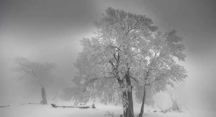 雪景发朋友圈的精美句子大全古诗【雪景发朋友圈的精美句子春雪】