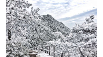 雪景发朋友圈的精美句子简短【雪景发朋友圈的精美句子抖音】