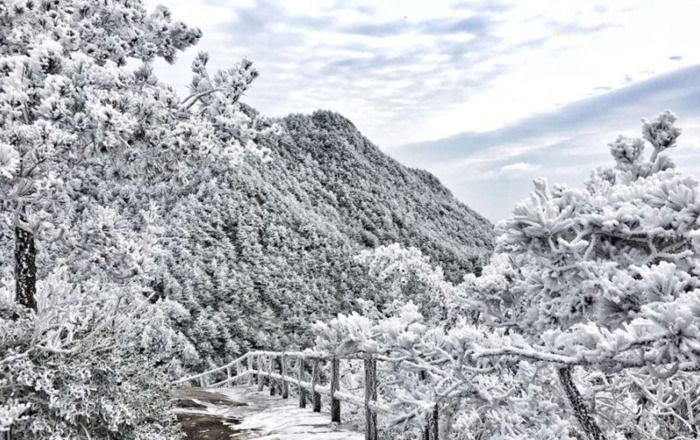 雪景发朋友圈的精美句子简短【雪景发朋友圈的精美句子抖音】