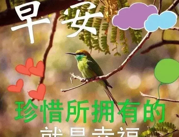 客户群发祝福短信简短【客户群发祝福短信周一】