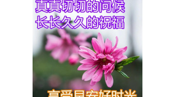 早安暖心话短句正能量【早安暖心话短句正能量图片】