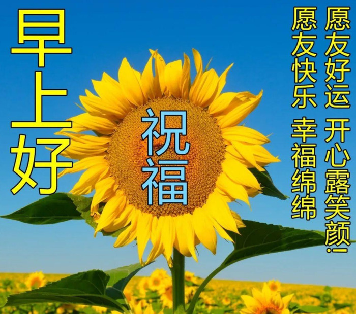 早安暖心话短句正能量【早安暖心话短句正能量图片】