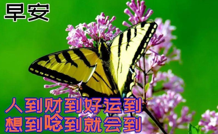 早安暖心话短句正能量【早安语句的正能量】