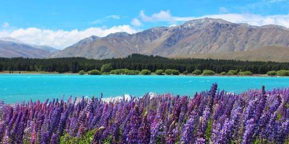 新西兰南岛旅游线路图【新西兰南岛旅游线路推荐】