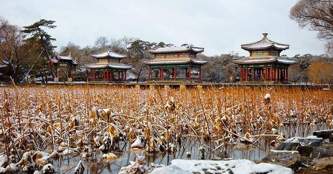 残荷图片【残荷图片唯美图片】