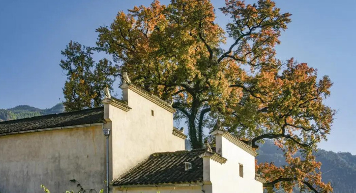 乡村风景图片大全【乡村风景图片高清】