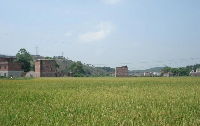 乡村风景图片大全【乡村风景图片高清】