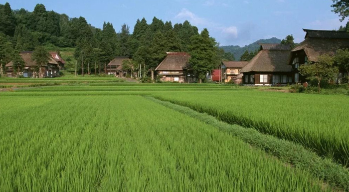 乡村风景图片大全【乡村风景图片高清】