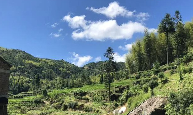 乡村风景图片大全【乡村风景图片高清】