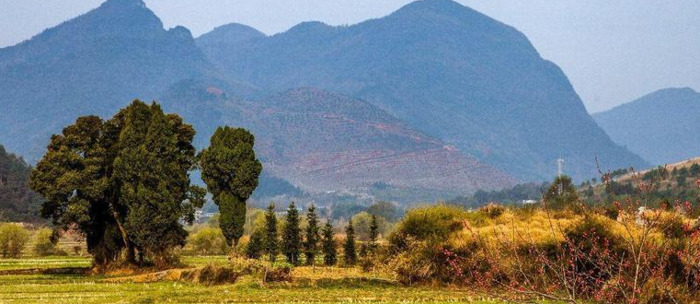 乡村风景的诗句【乡村风景好词好句】