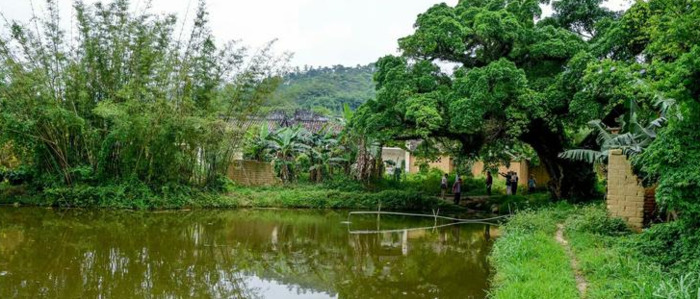 乡村风景的诗句【乡村风景好词好句】