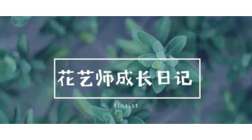 丁香花与哪个城市有关【丁香花的花语】