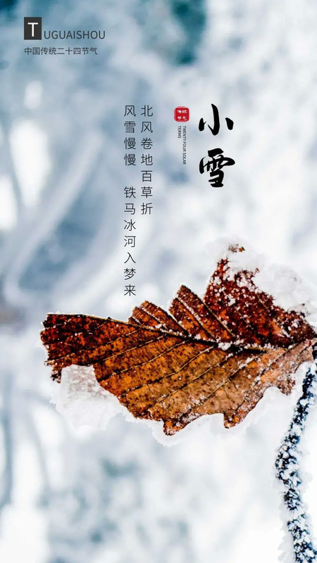 明天小雪节气祝福语【明天小雪祝福语】