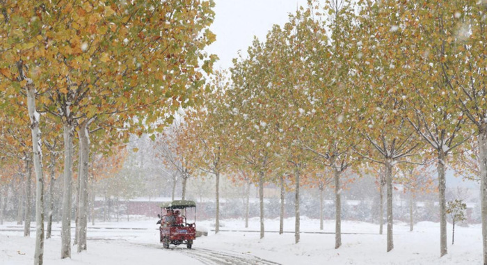 小雪时节的诗词【小雪时节十首小雪诗词】