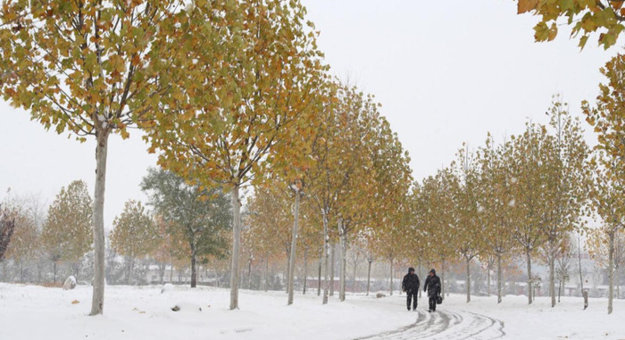 小雪时节的诗词【小雪时节十首小雪诗词】