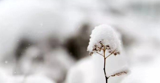 小雪时节的诗词【关于小雪d的十首诗词】