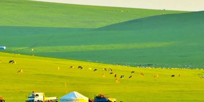 大草原图片壁纸【大草原骏马风景图片】