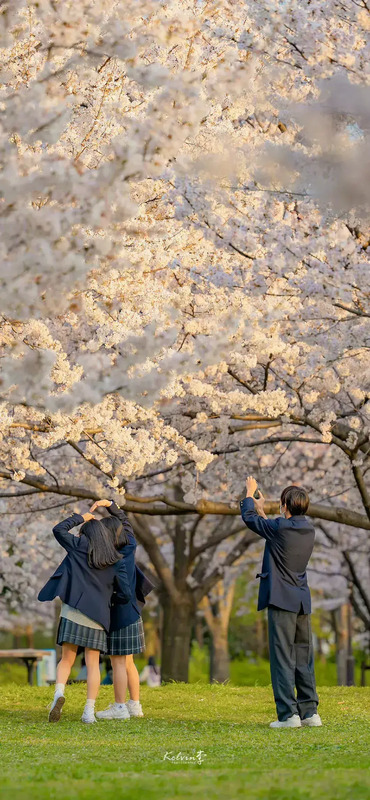 花朵图片【花朵图片唯美小清新】