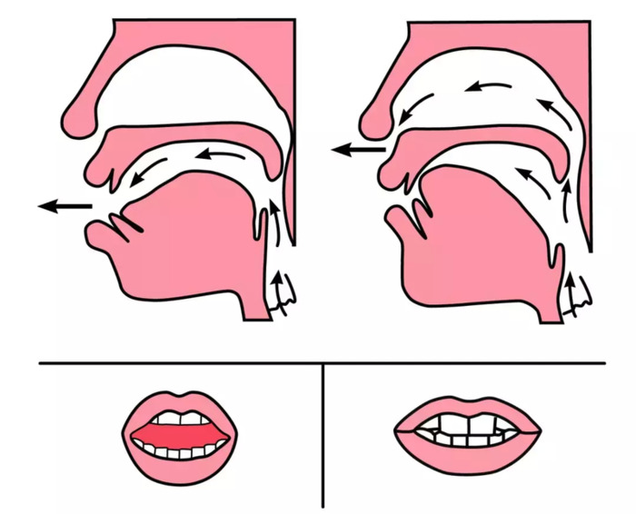 前鼻音后鼻音的发音怎么区分简单【前鼻音和后鼻音的发音区分技巧】
