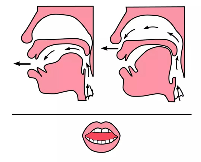 前鼻音后鼻音的发音怎么区分简单【前鼻音和后鼻音的发音区分技巧】