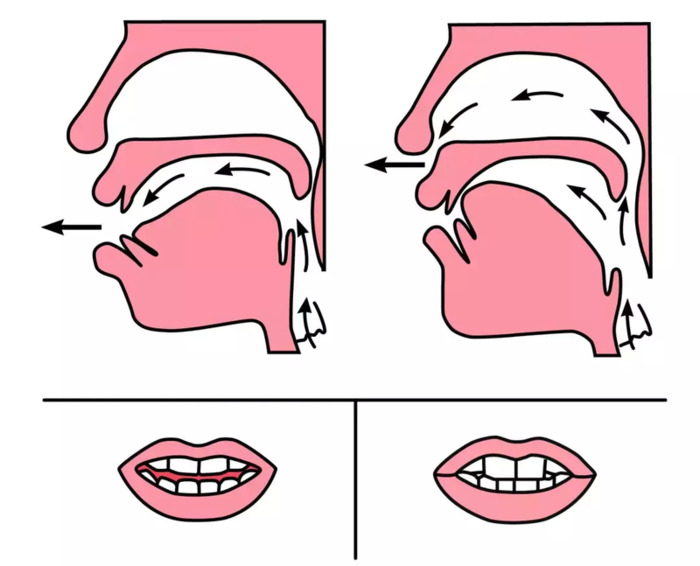 前鼻音后鼻音的发音怎么区分简单【前鼻音和后鼻音的发音区分技巧】