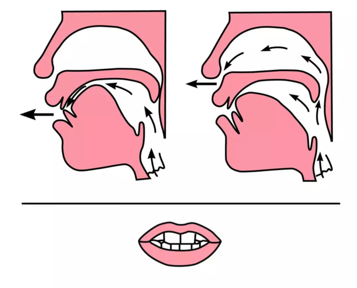前鼻音后鼻音的发音怎么区分简单【前鼻音和后鼻音的发音区分技巧】