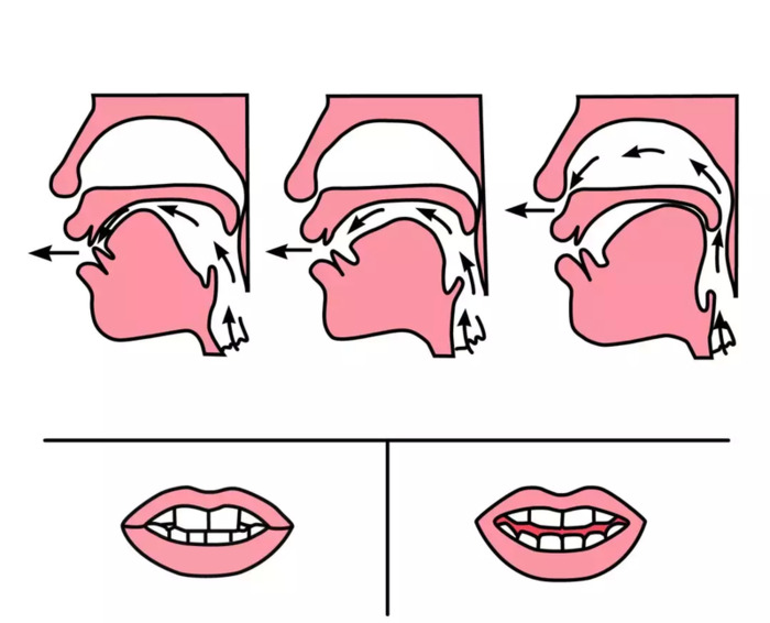 前鼻音后鼻音的发音怎么区分简单【前鼻音和后鼻音的发音区分技巧】