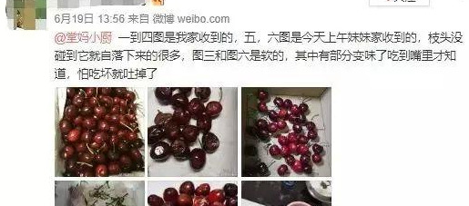 微博堂妈小厨 天涯扒皮【微博堂妈小厨发生什么事】