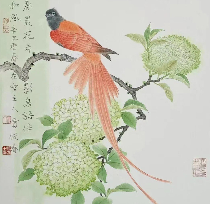 水墨花鸟画作品欣赏【水墨花鸟画图片大全】