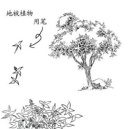 风景素描临摹图片【速写风景素描临摹图高清】