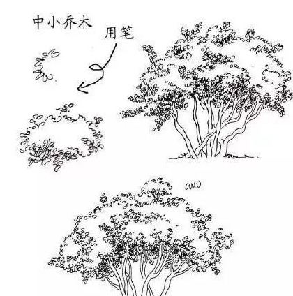 风景素描临摹图片【速写风景素描临摹图高清】