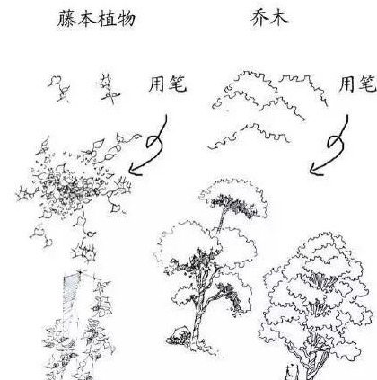 风景素描临摹图片【速写风景素描临摹图高清】