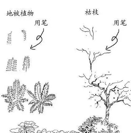 风景素描临摹图片【速写风景素描临摹图高清】