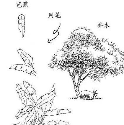 风景素描临摹图片【速写风景素描临摹图高清】