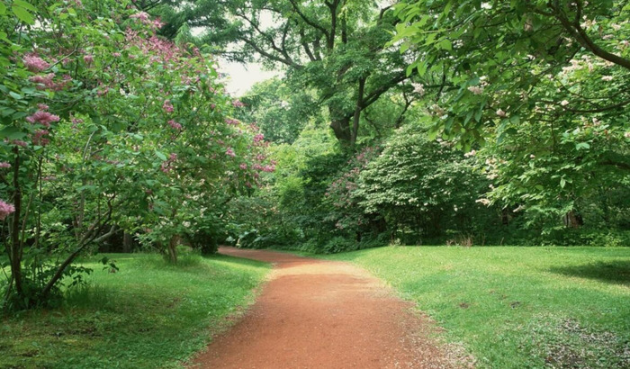 春天花开图片 自然风景【今日春暖花开图片】