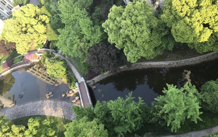 春天花开图片 自然风景【今日春暖花开图片】