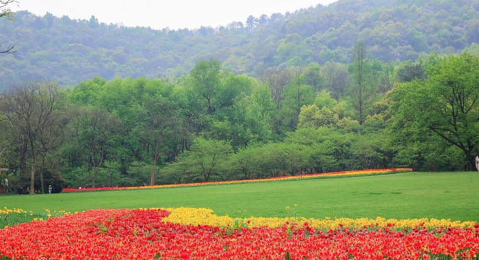 春天花开图片 自然风景【今日春暖花开图片】